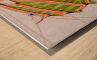 Fibonacci moth Wood print