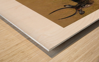 24273122_517880081920189_651342219_n Wood print
