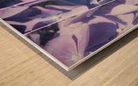 Lavender Hydrangea Triptych Wood print