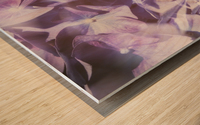 Vintage Lavender Hydrangea Wood print