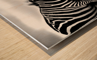 black and white africa animals wilderness Wood print