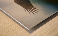 Raptor Wood print