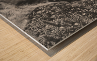 Cat Wood print