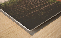 Road perspective Wood print