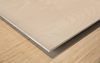 Coccinelle asiatique Wood print