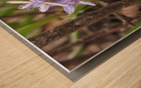 IMG_8656 Wood print