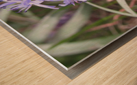 IMG_8668 Wood print