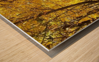 Autumn Season Wood print