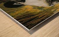 Profil Wood print