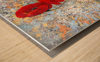 Poppy Wood print