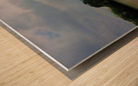 Challenger 7 Memorial Park Wood print