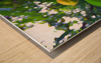 Peach  Wood print