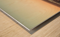 Print 04668 Wood print