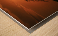 _49R8851 Wood print