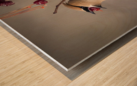 _T8C2845 Modifier Modifier Wood print