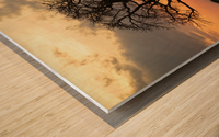 2S9A8480 Modifier Wood print