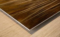 2S9A2743 Wood print