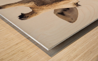 164A0098 Wood print