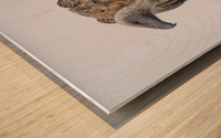 Vulture Wood print
