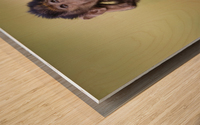 Hands-up Wood print