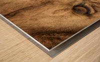 Grrrr - Color Wood print