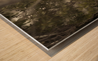 Ghosts of the Serengeti Wood print