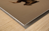 All Wings Open Wood print