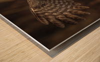 Great Grey Owl Wood print