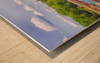 Acadia Bay Wood print