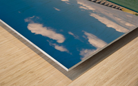 Bridge Wood print