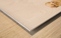 28D7FC6E B407 41D0 B3F9 4329B0959D8F Wood print
