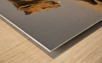 Small Step for Lionkind Wood print
