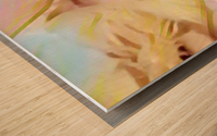 Sweet & Sour  Wood print