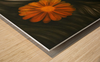 sun flower beauty Wood print