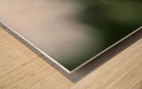 IMG_4630 Wood print