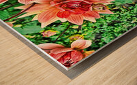 Arte 144 Dahlias Flowers enhanced-paint-style  Wood print