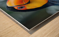 Beautiful Toucan Bird Wood print