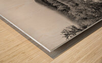 Early Morning Fishing Table Rock Lake Grayscale Wood print