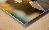 Natural Resilience - GIA2401-0222-REA Wood print