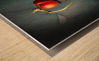 Tomato on Candlestick Wood print