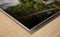 Taking a Break in Varardero Wood print
