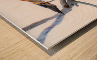 BZ9 4522 Enhanced NR Wood print