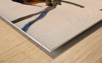 BZ9 4520 Enhanced NR Wood print