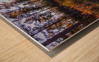 Woodland Marsh Sunset Winter Glow Wood print