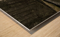 Log Wood print