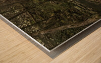 Rooted Wood print
