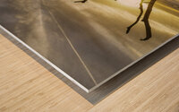 Driftwood Wood print