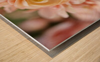 Peach Quince Blossoms Wood print
