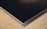 ostrich feather on dark stone  Wood print