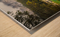 carezza lake in italy Wood print